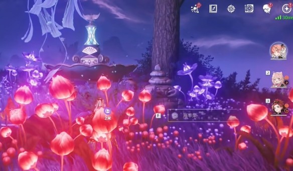 鸣潮2.2幽夜幻梦任务攻略 幽夜幻梦怎么完成[多图]图片4