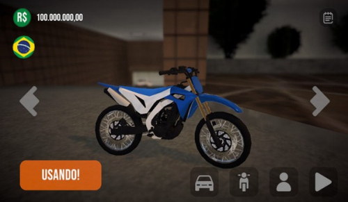 巴西精英赛车手